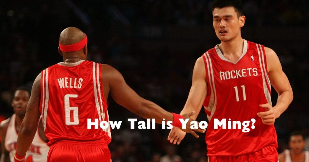 How Tall is Yao Ming?